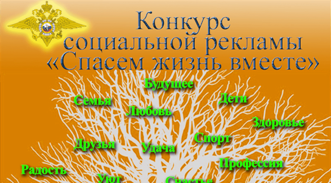 Фото новости