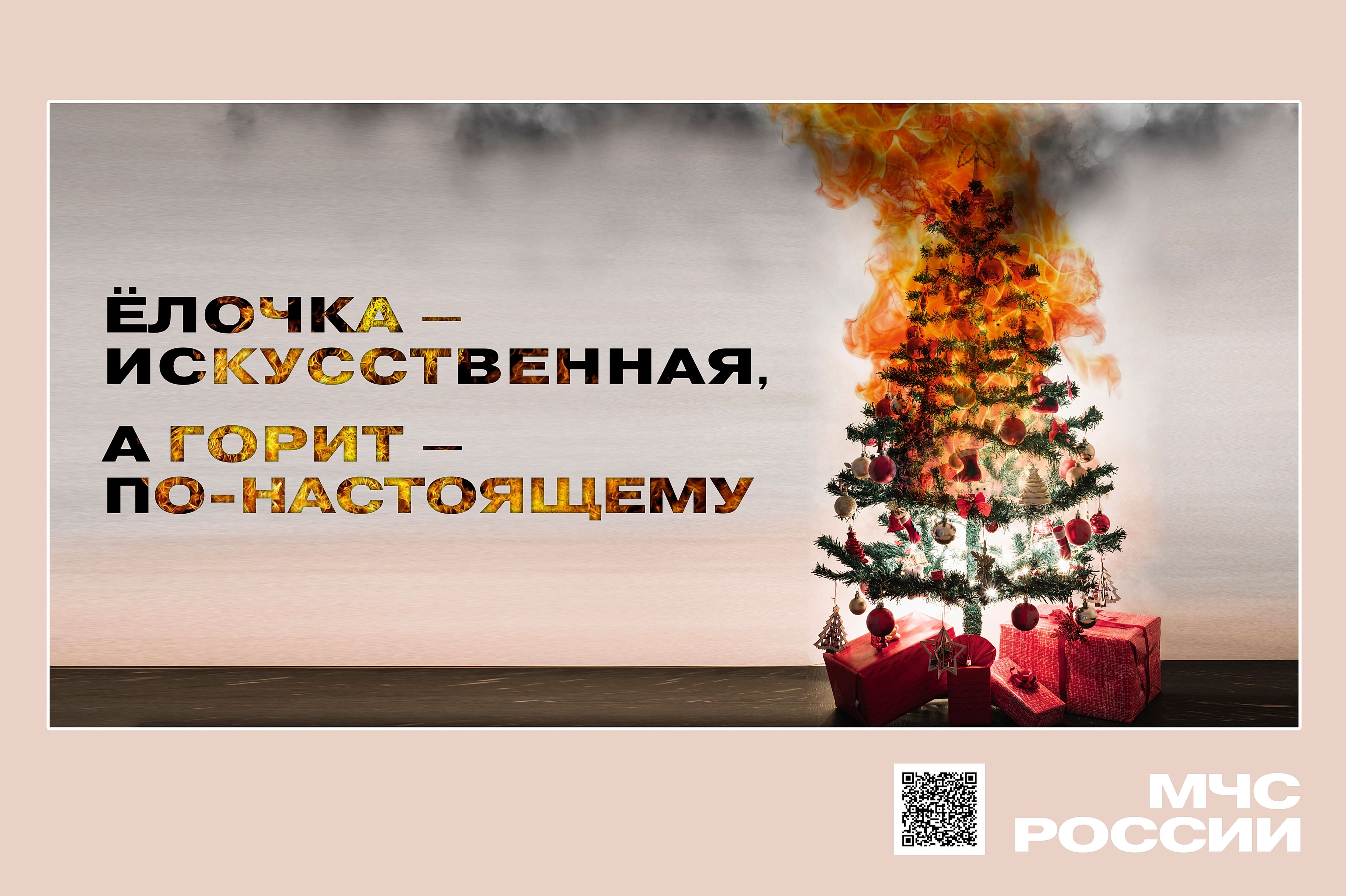 Фото новости