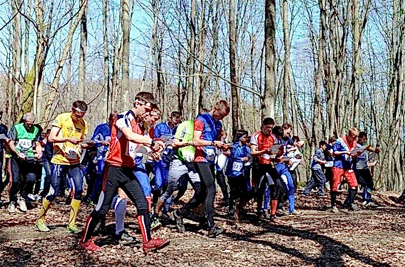 sostyazaniya_po_sportivnomu_oriyentirovaniyu.jpg